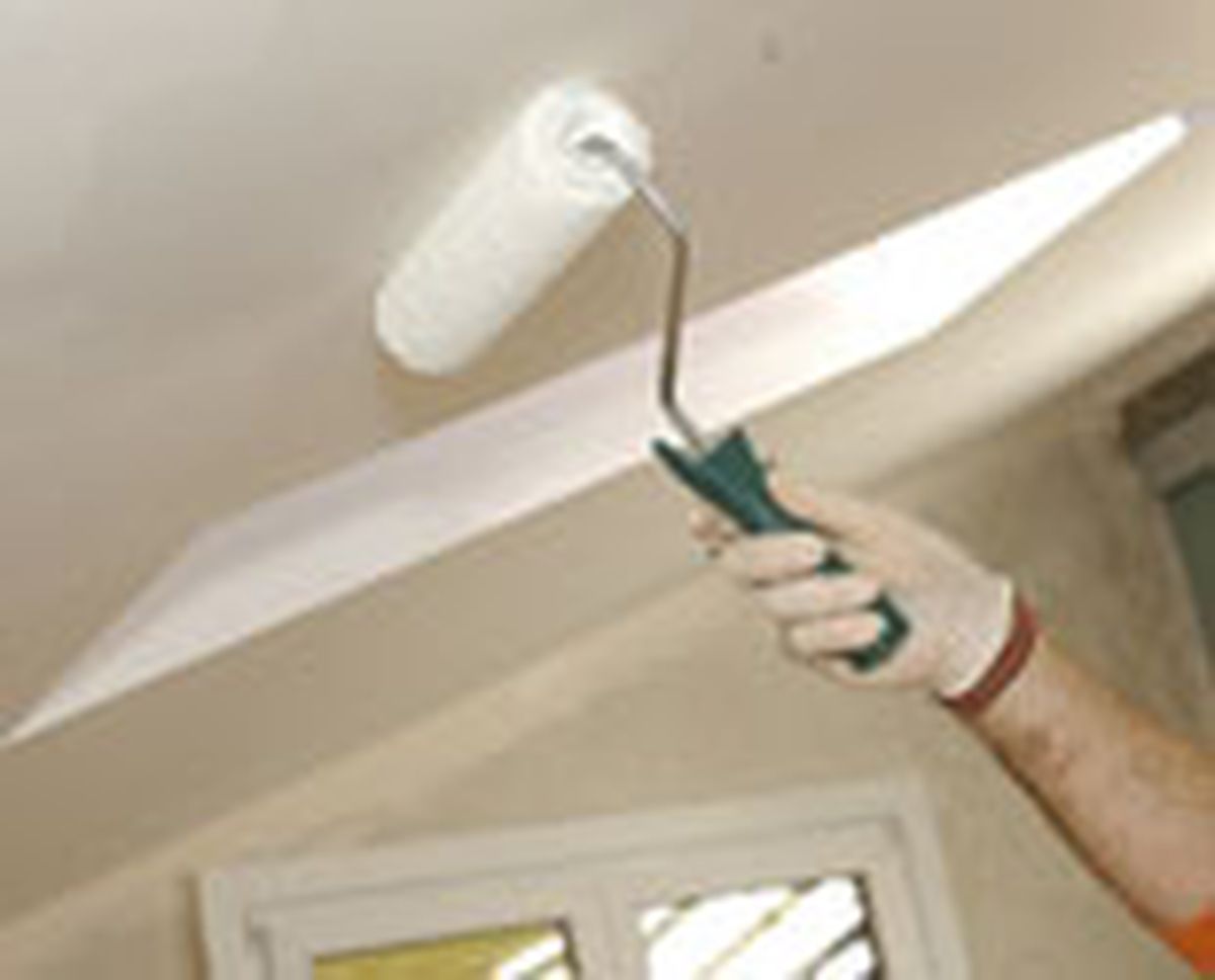 364 pint habit infantil p04 1