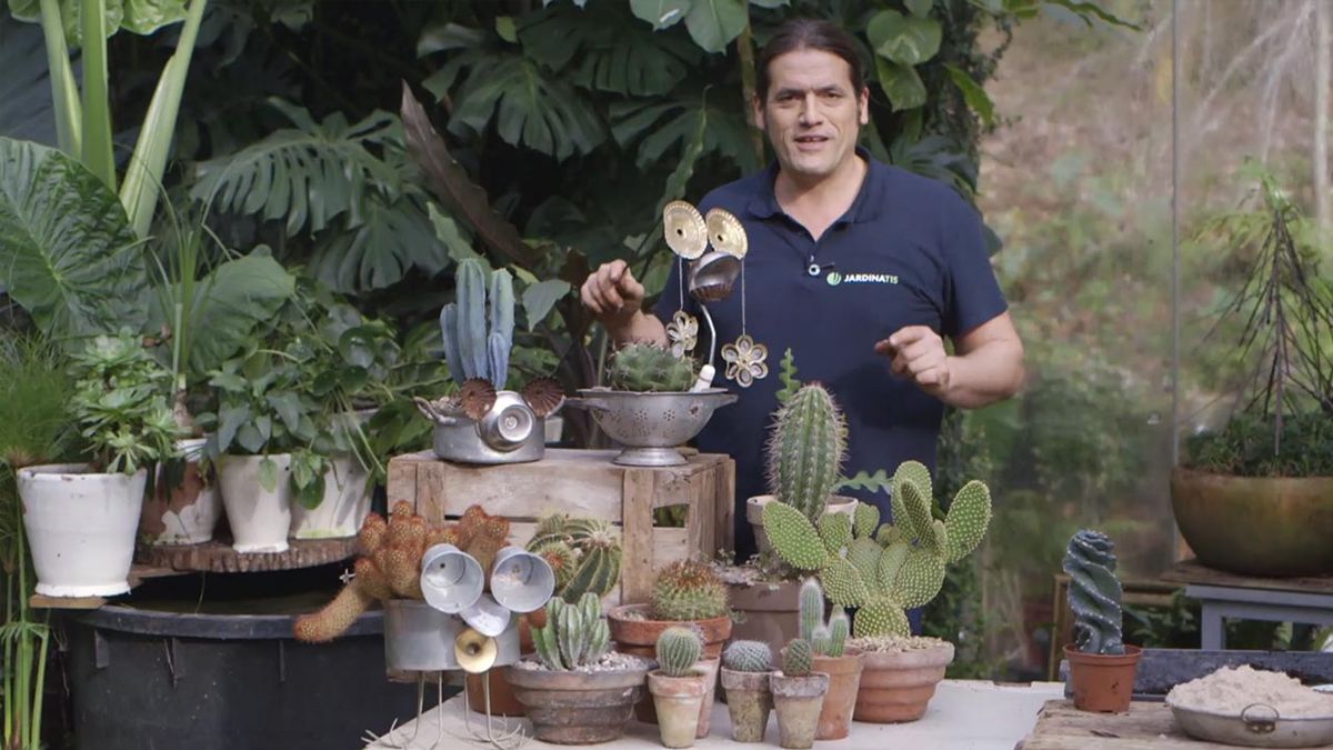 brico 1019 jardin programacion 22 23 febrero 2020