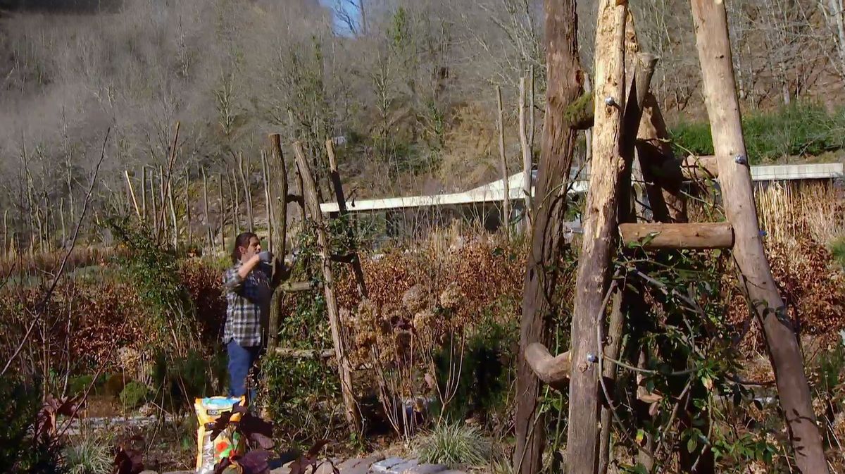 Hacer una estructura para un rosal trepador