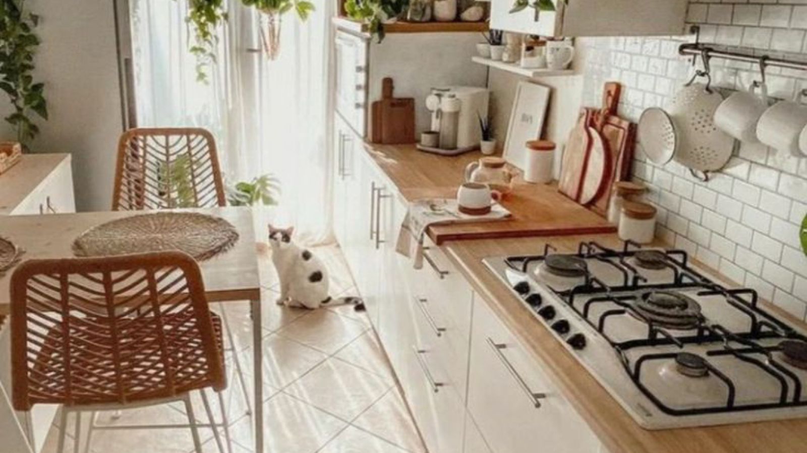 cocinas blancas mezclar suelos baldosas mate naturales pinterest decor & lifestyle 3 (1)