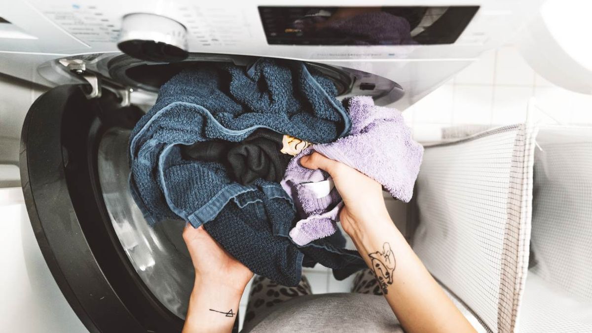 Elimina la humedad, cuida tu ropa y protege tu salud