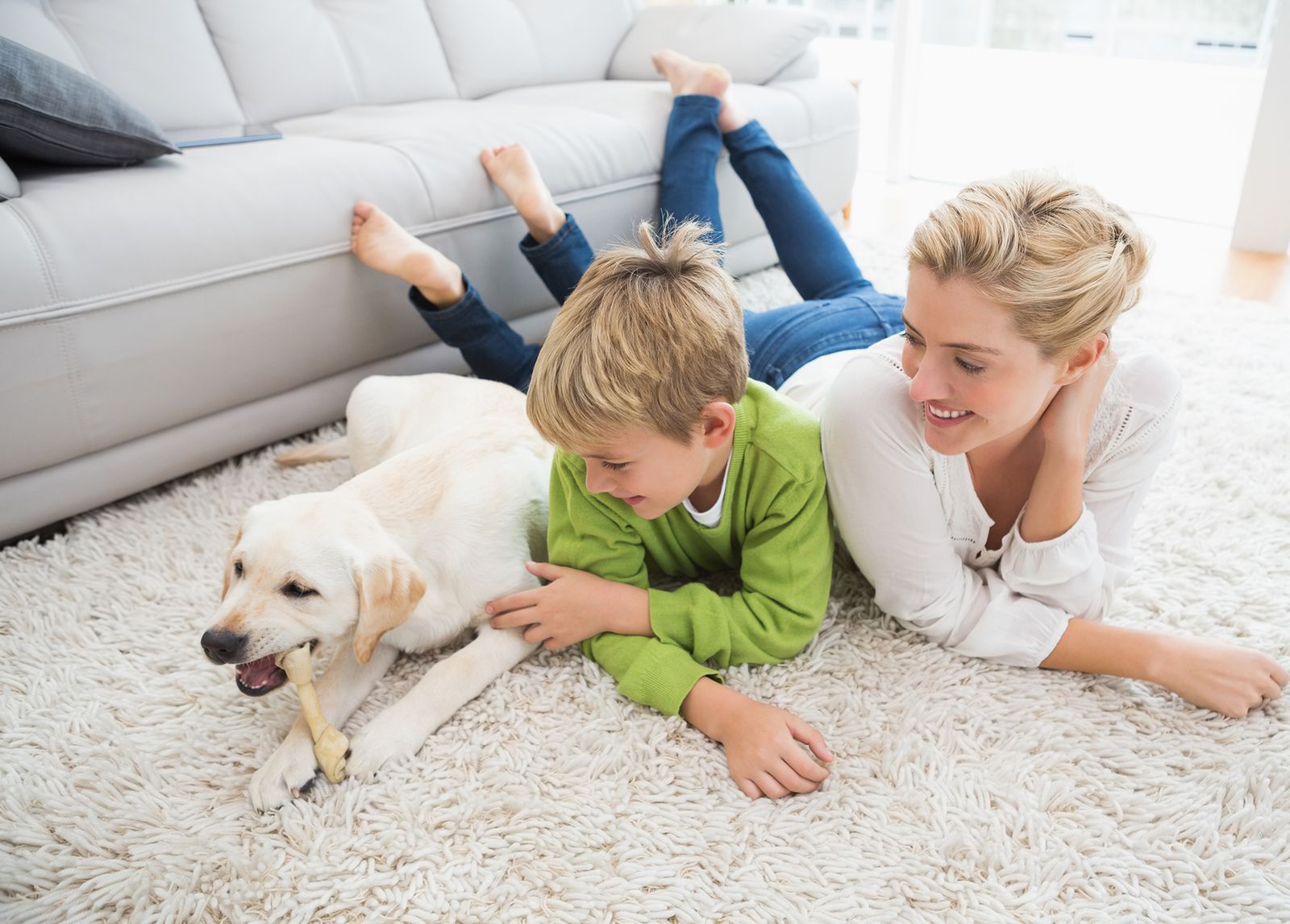 consejos preparar llegada perro ninos