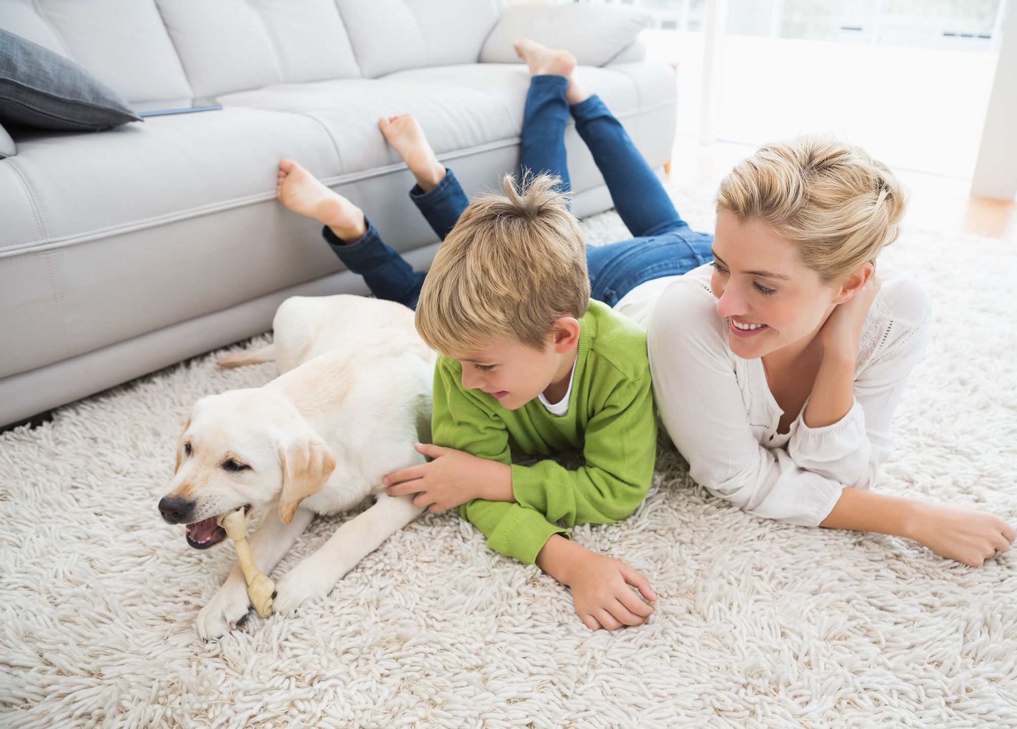 consejos preparar llegada perro ninos