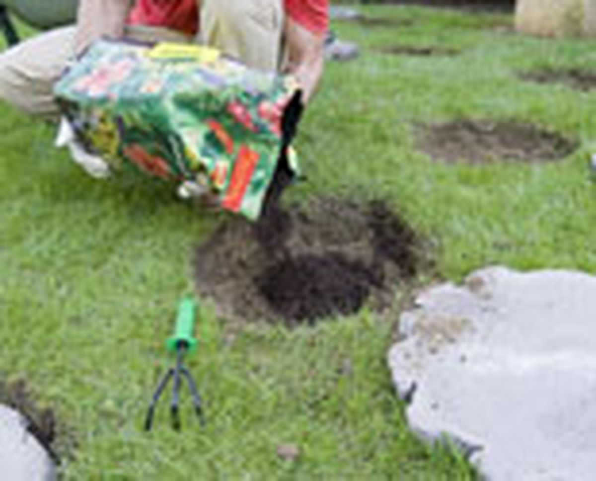 558 paso japones p05