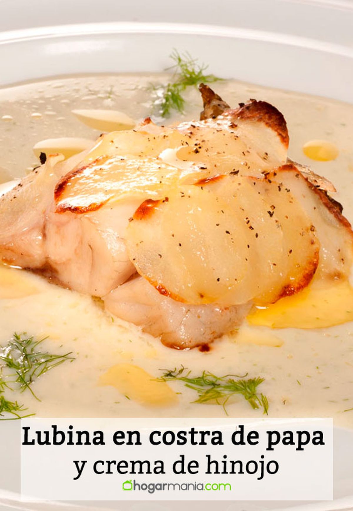 lubina costra papa crema hinojo pin
