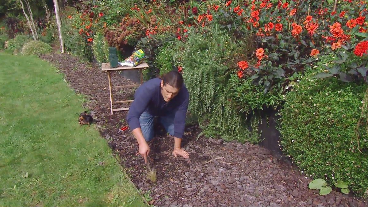 Decogarden 668 ventajas corteza pino graminea