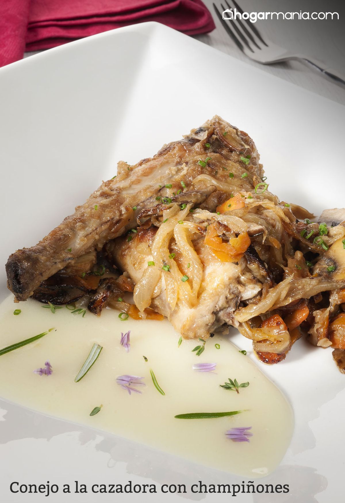 CABI0035 Amaia Conejo a la cazadora con champiñones vertical xl