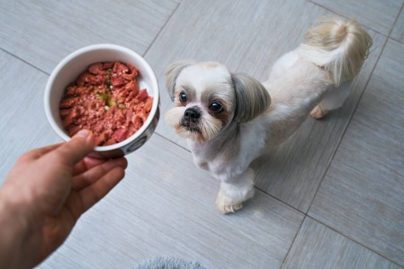 Conoce los nutrientes clave que no pueden faltar en su plan de alimentación.