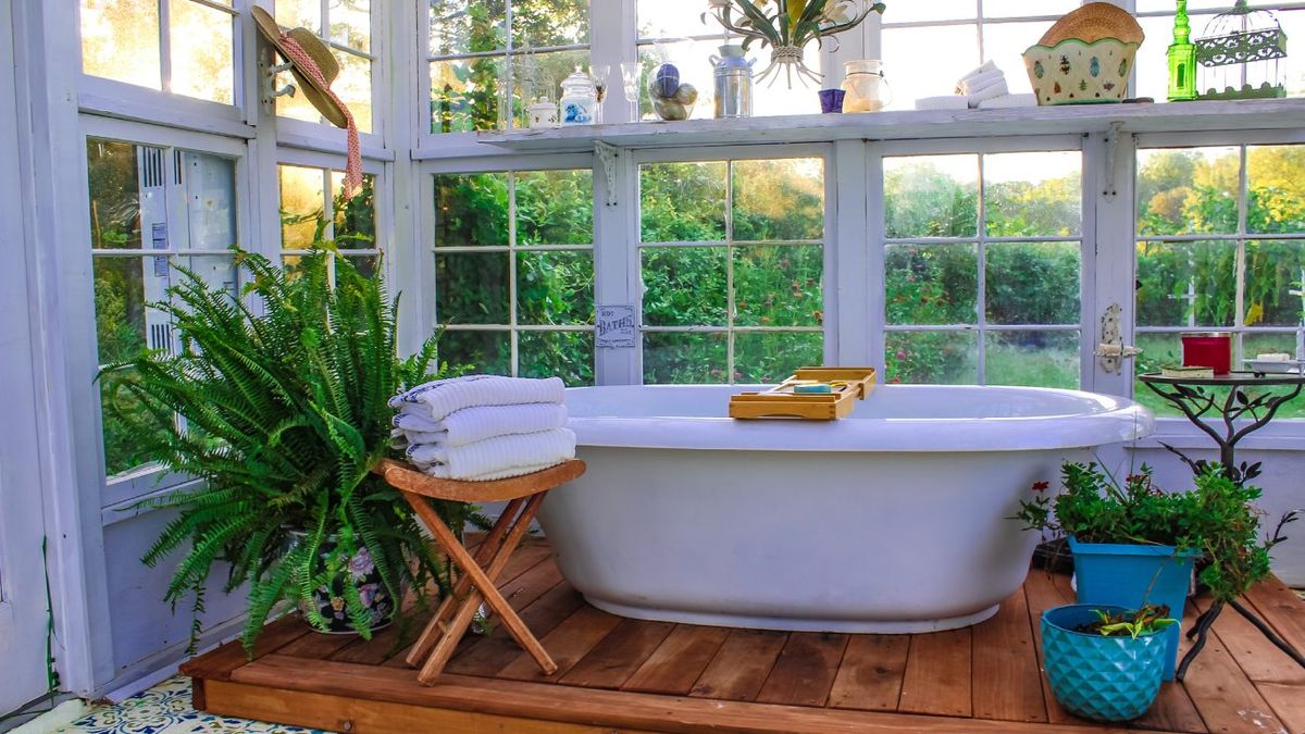 Helechos en un baño.