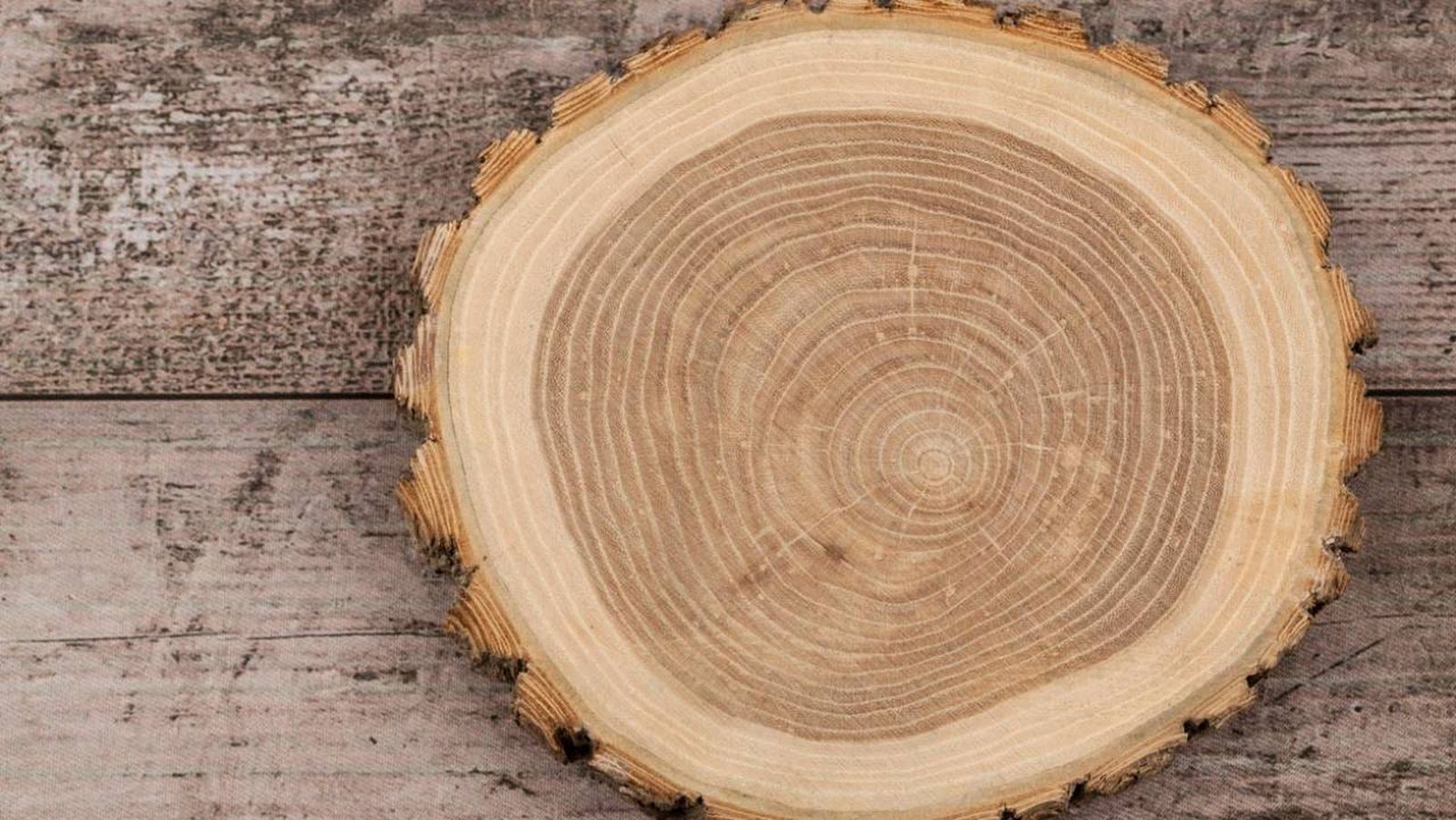 como secar madera disco