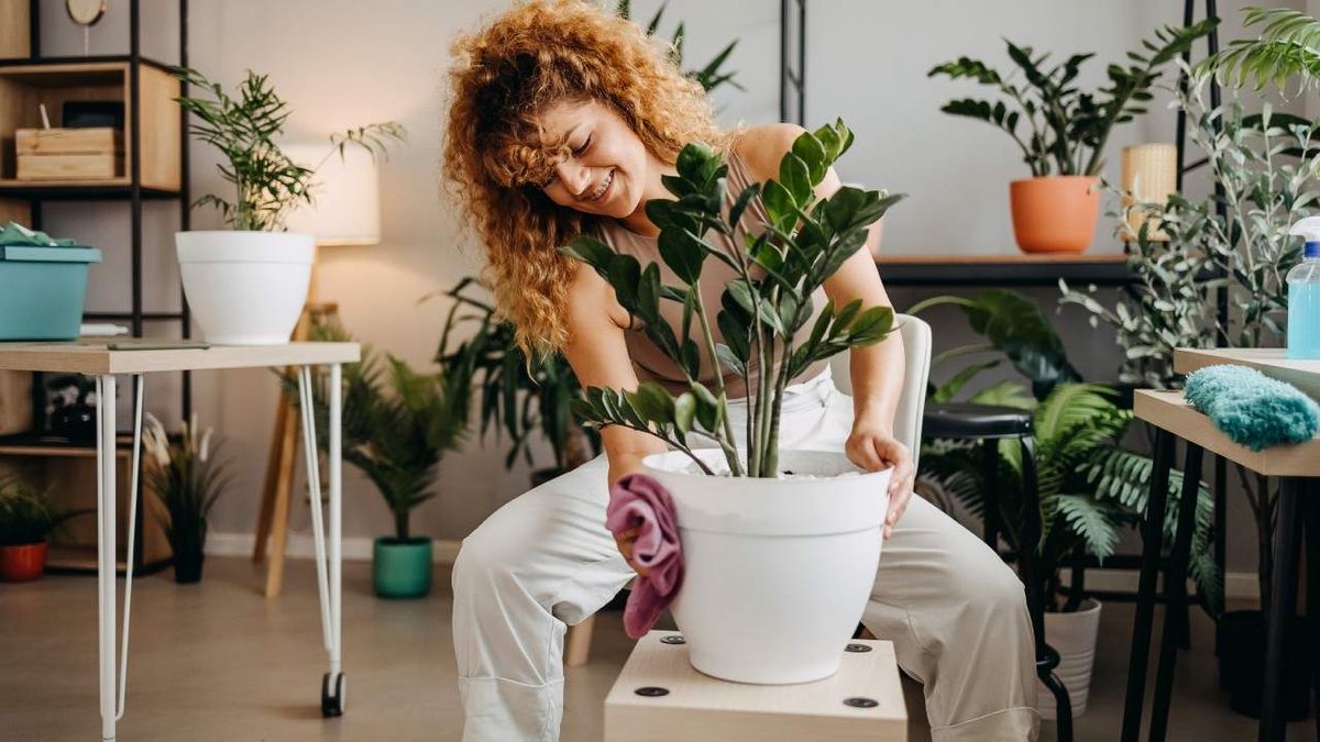 como limpiar las macetas antes de volver a usarlas