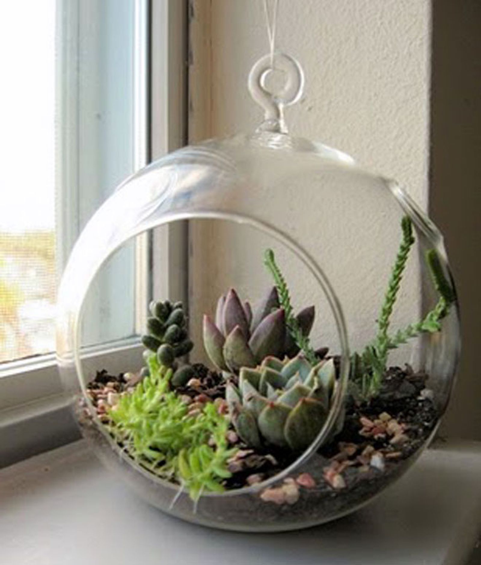 decoracion vegetal jardin interior 13