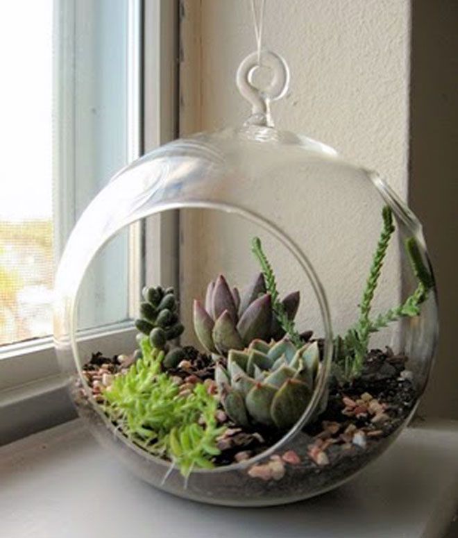 decoracion vegetal jardin interior 13