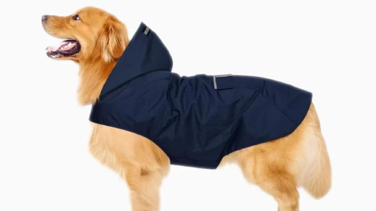 Chubasquero para perros ZELLAR.