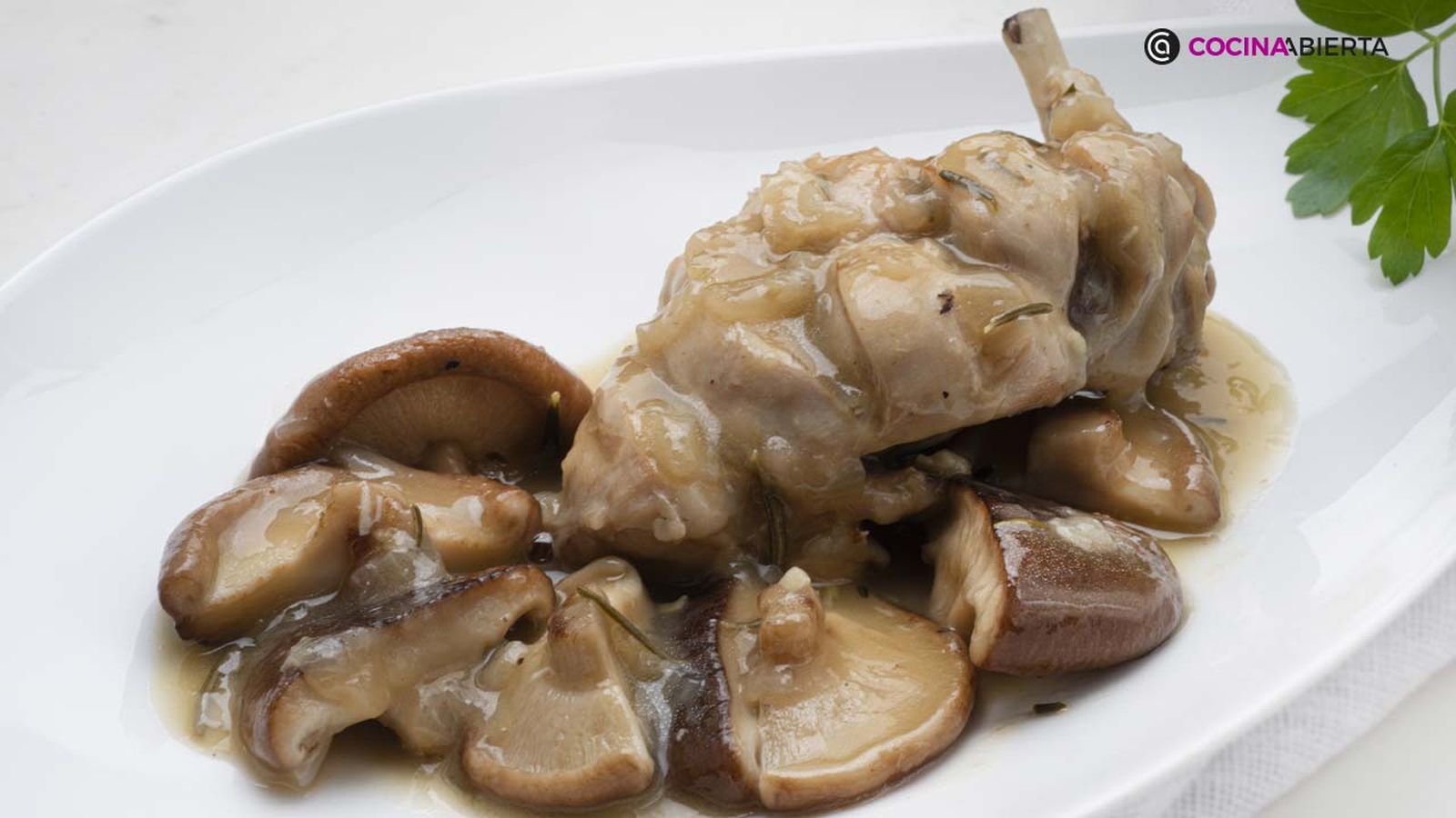 karl6917 conejo setas xl