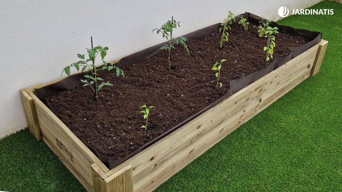 huerto urbano descuentos amazon prime day