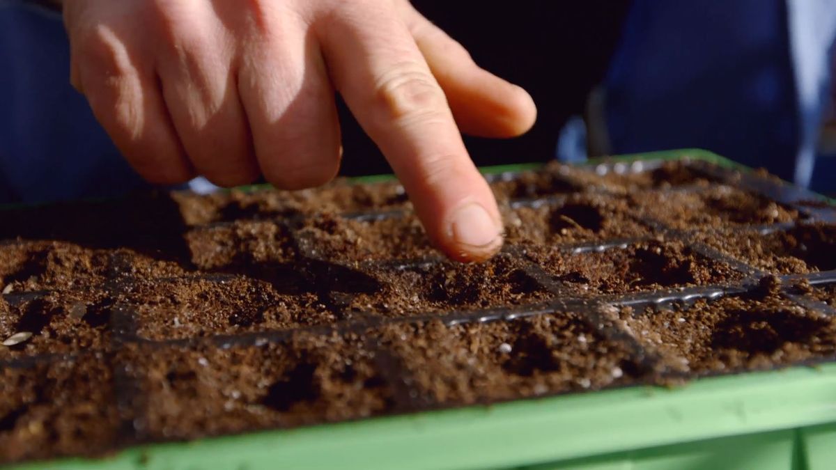 brico 0899 como hacer semillero hortalizas paso 7