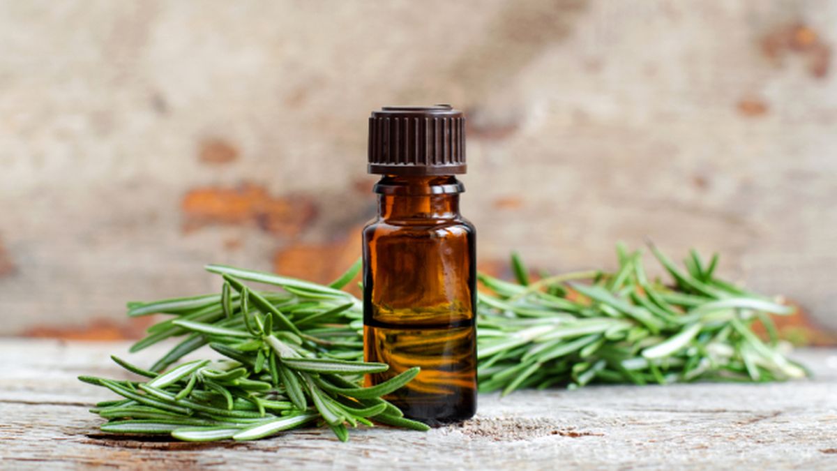 aceite de romero para el pelo cuales son sus beneficios y como se utiliza 1