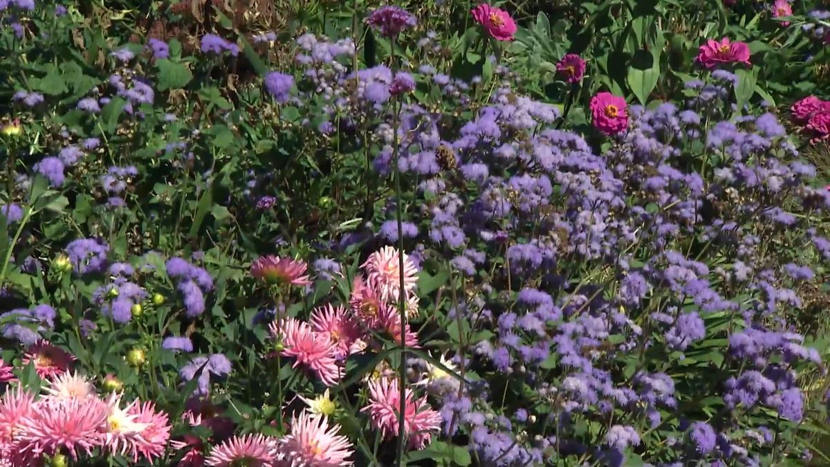 deko 708 jardineria parterre otono xl