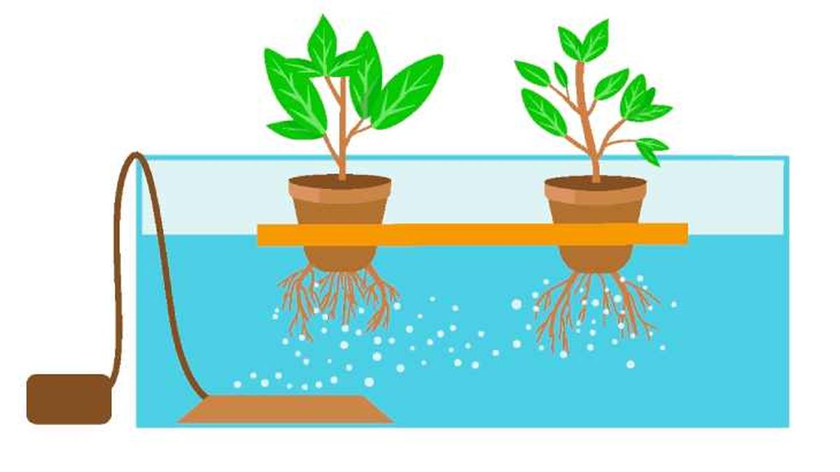 sistema hidroponico casero