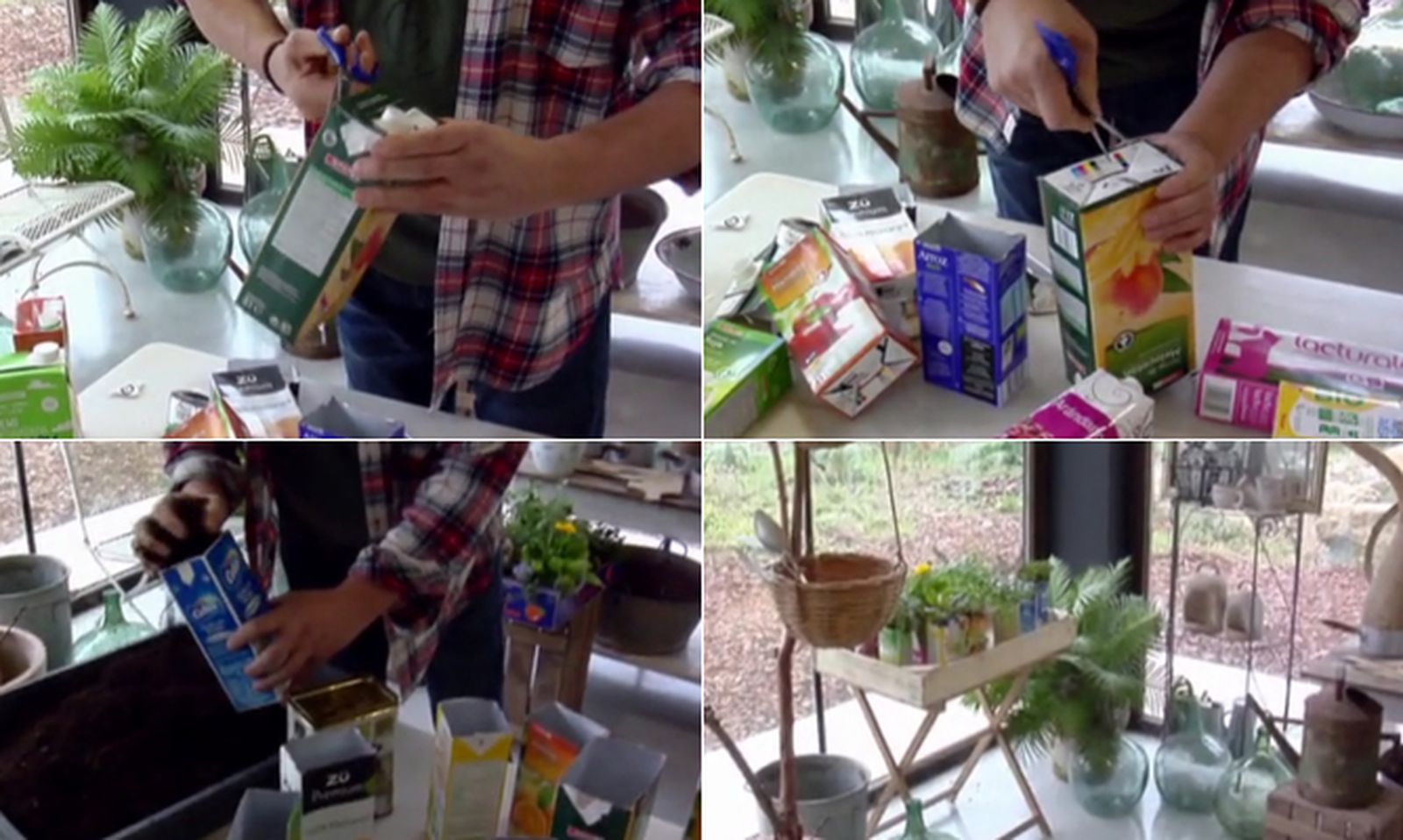 Plantar plantas aromáticas en bricks