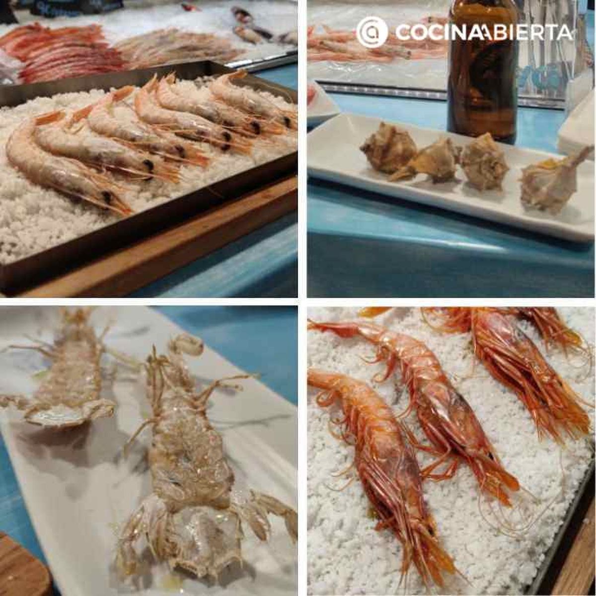 En El Loco del Mar, en el Mercado Central de Alicante, comimos gambas, galeras y cañaillas