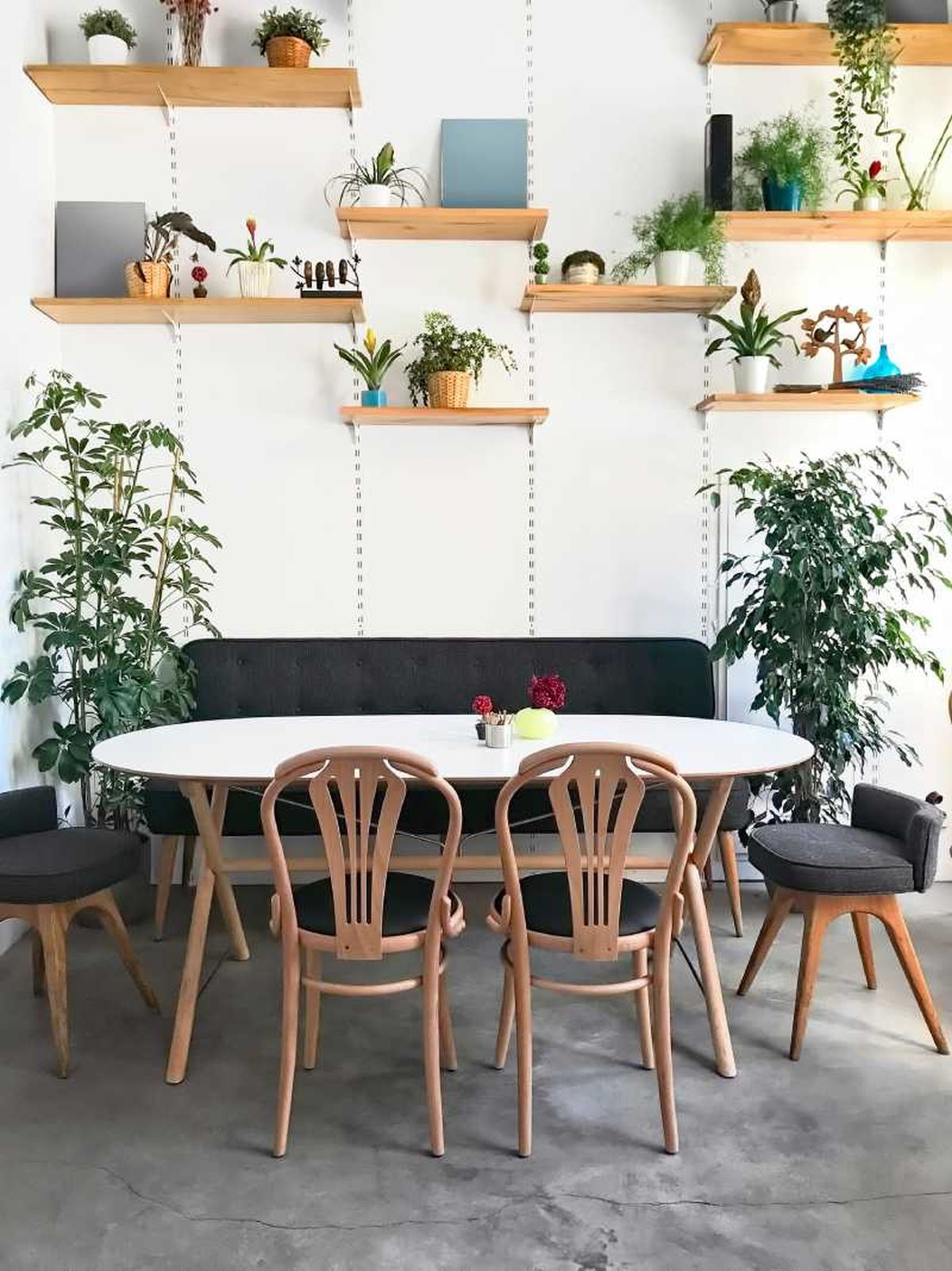 Comedor pequeño con baldas con plantas.