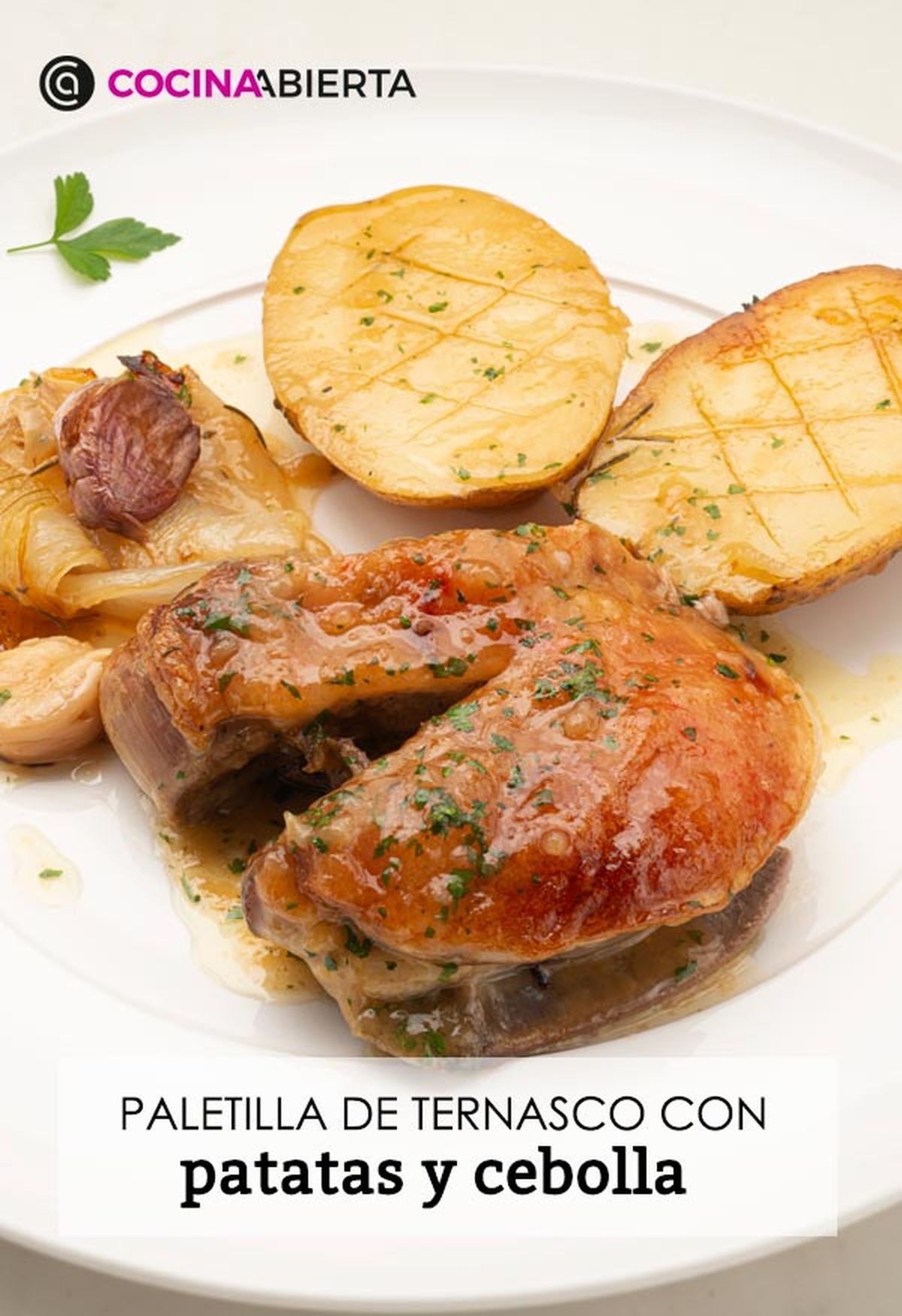 karl6666 paletilla ternasco v