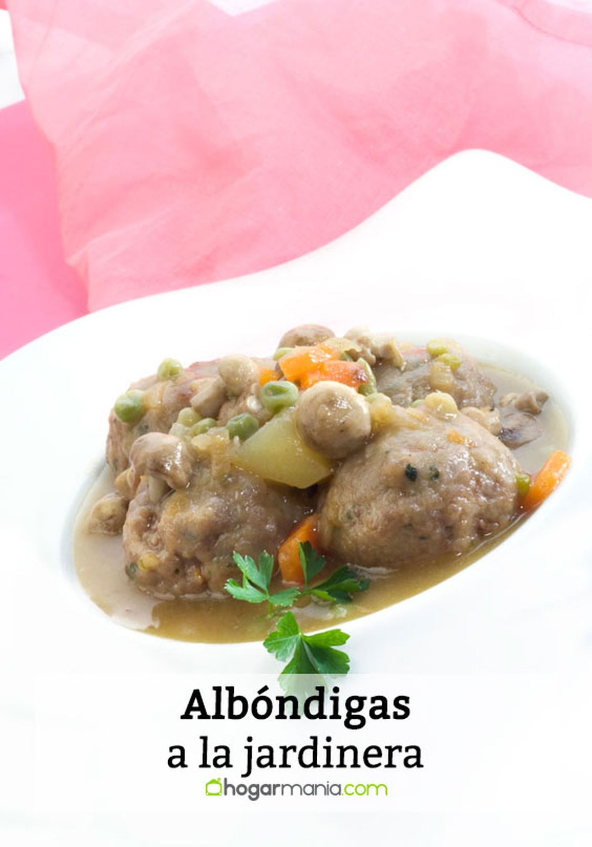 albondigas a la jardinera pin
