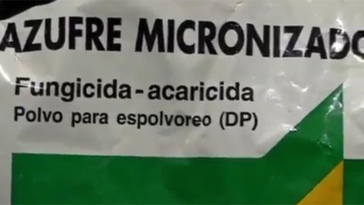 fungicida acaricida para las plantas de.tomate en la huerta
