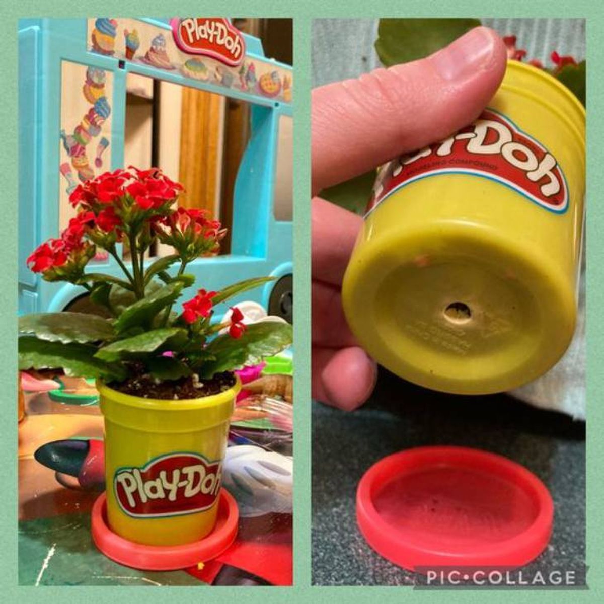 plantar plantas botes play doh pinterest mackenzie hebert