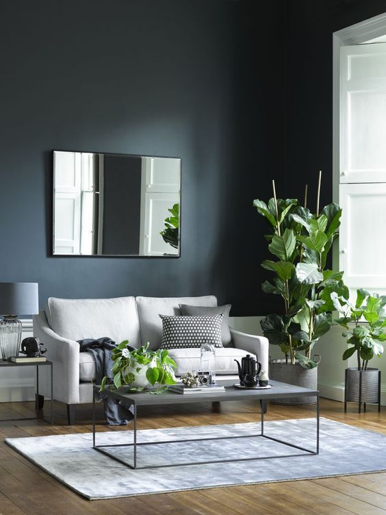 salon gris marengo plantas
