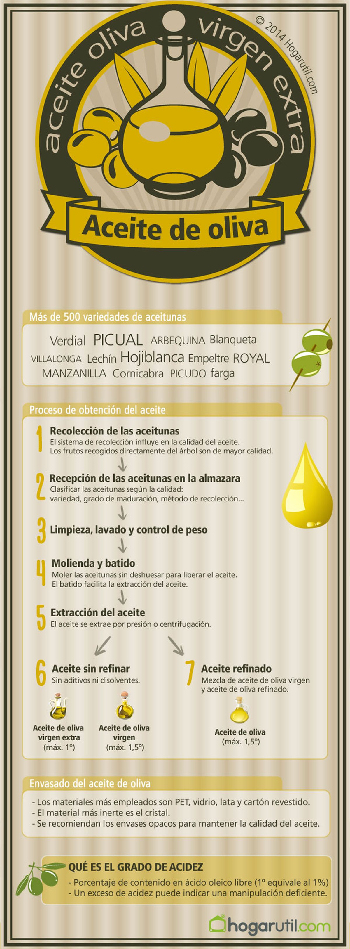 infografia aceite oliva xl