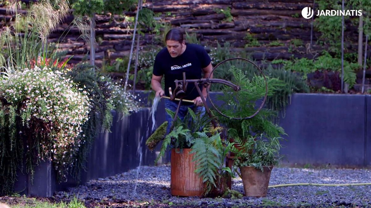 brico 0912 3 escultura bicicleta helechos xl