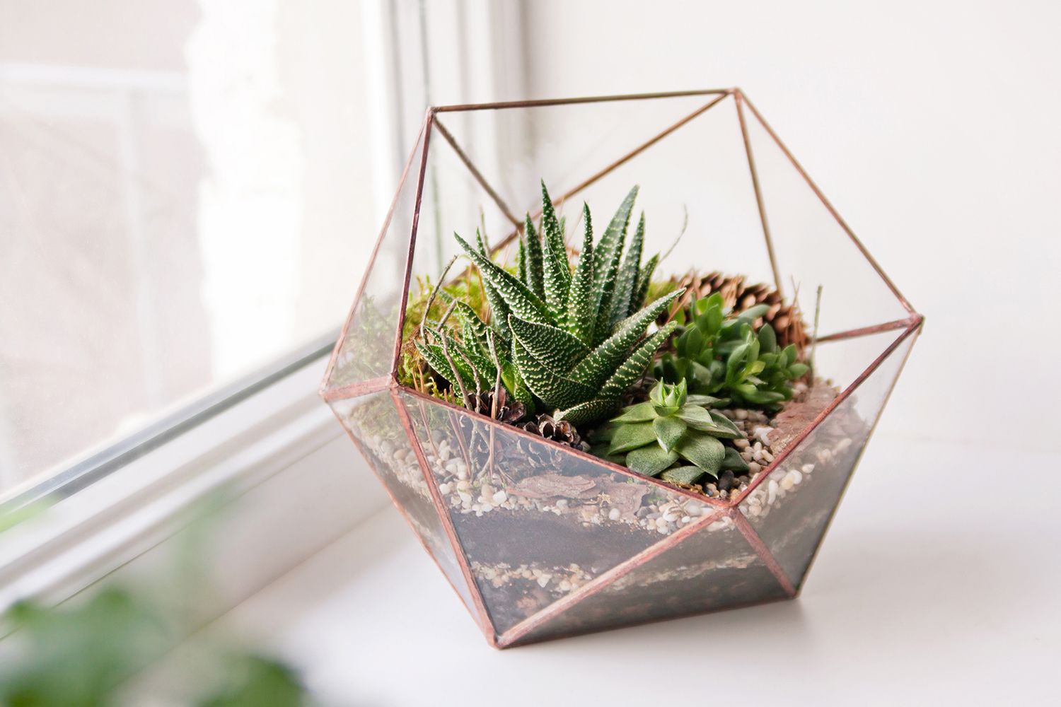 plantas casa6