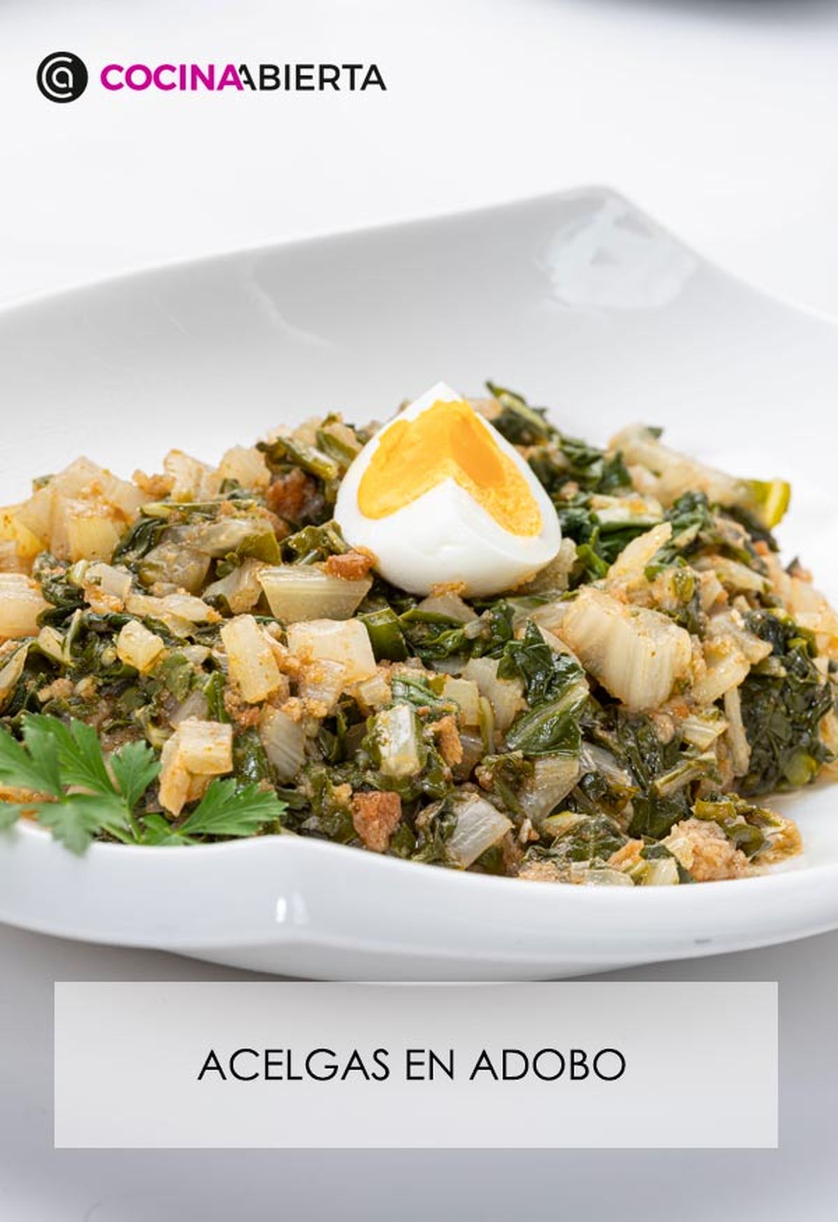 karl6640 acelgas adobo v