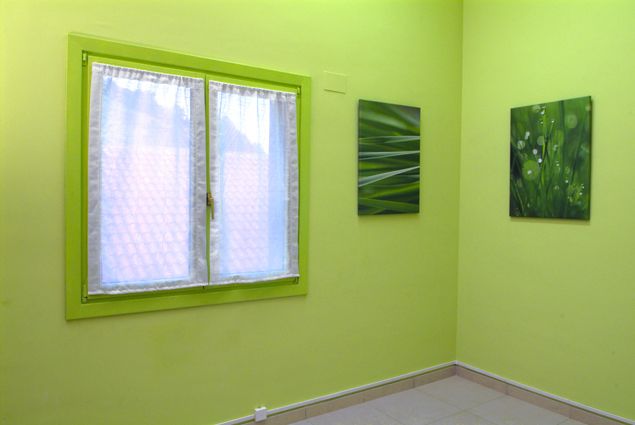 Pintar el marco de la ventana paso 9