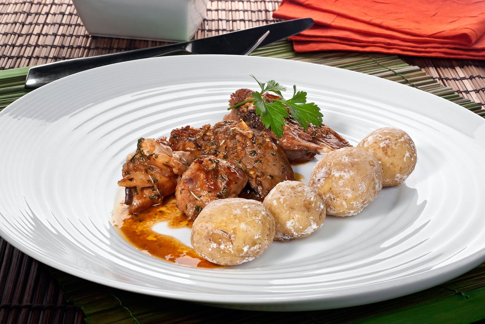 1378 Conejo al salmorejo (562) xl