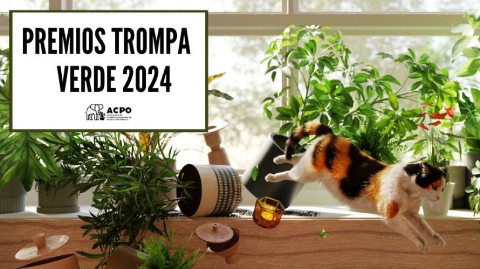 Premios Trompa Verde 2024