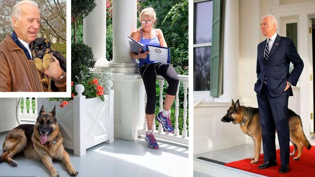 perros presidente biden 3