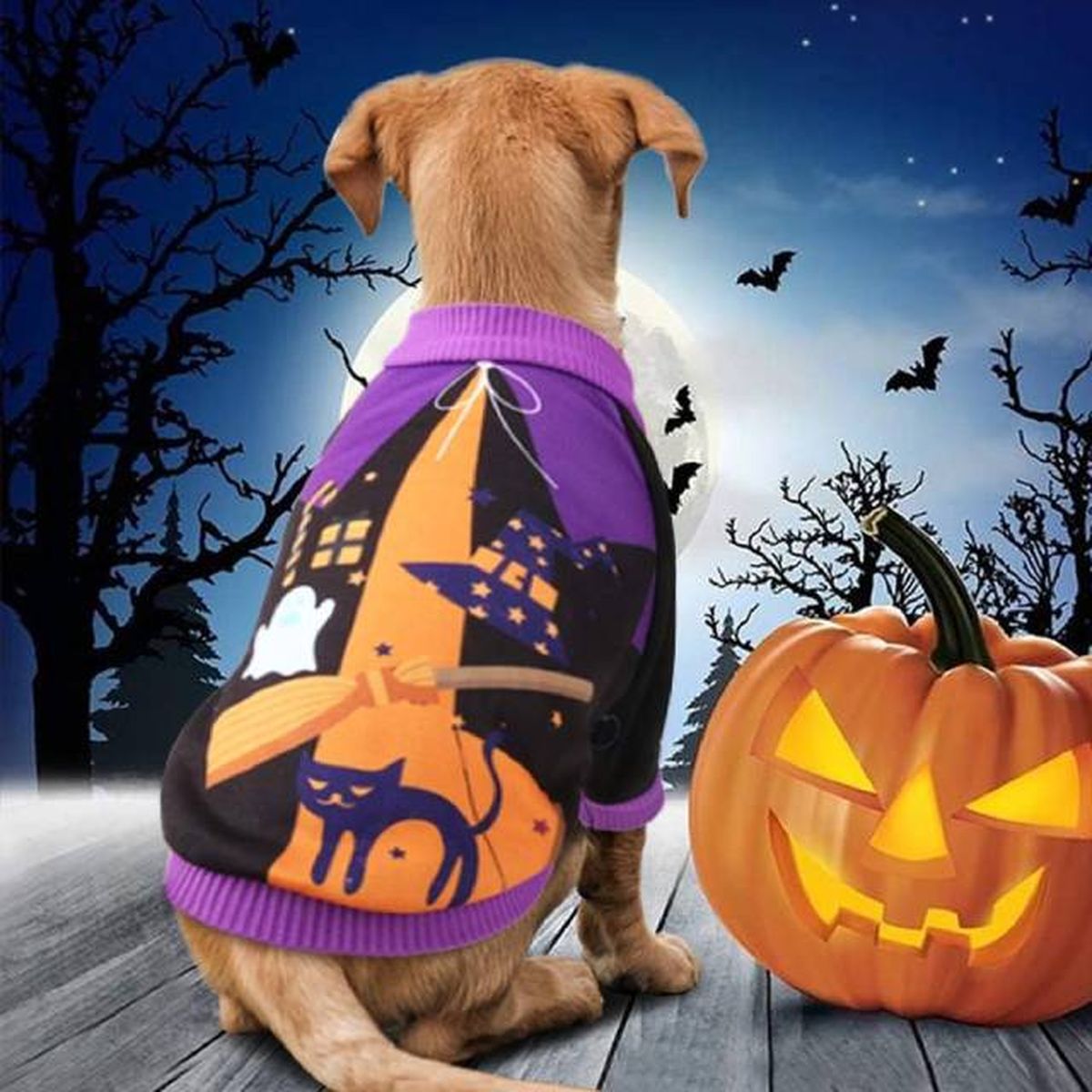 prendas ropa mascotas halloween 4