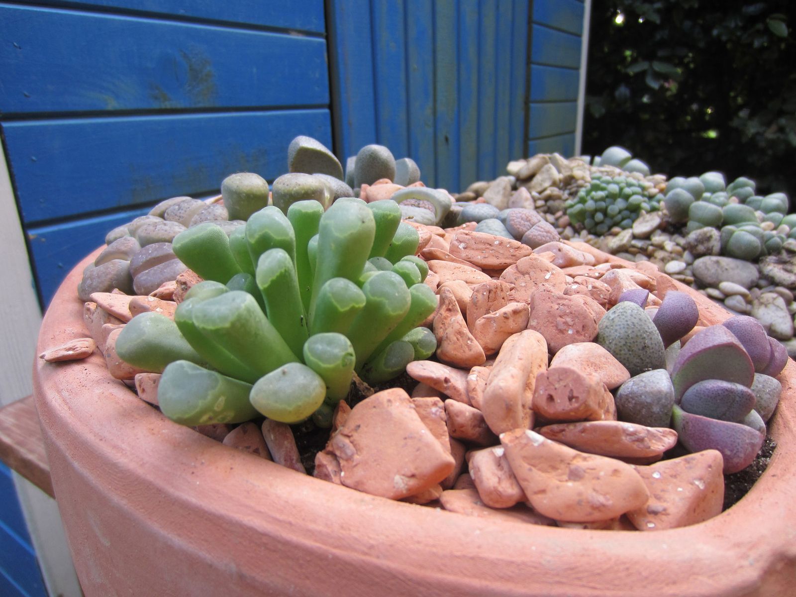 Composición con piedras del desierto