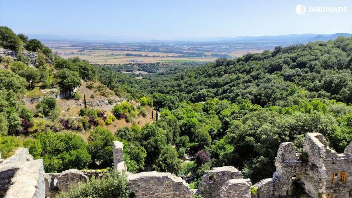 Vistas desde el Jardín botánico de Santa Catalina