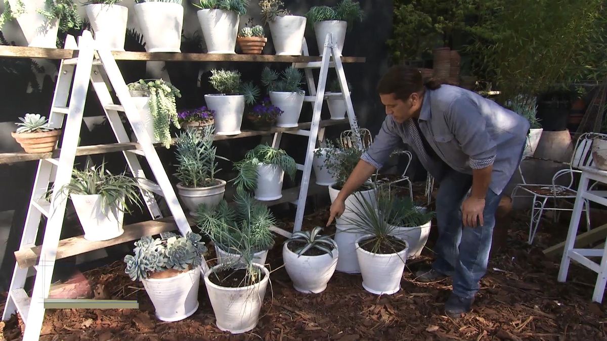 Deco732 jardineria pitera