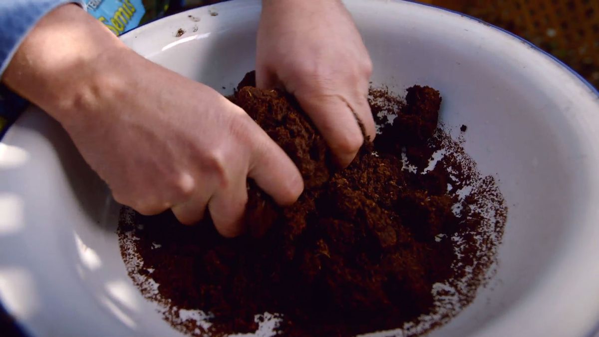 brico 0899 como hacer semillero hortalizas paso 3