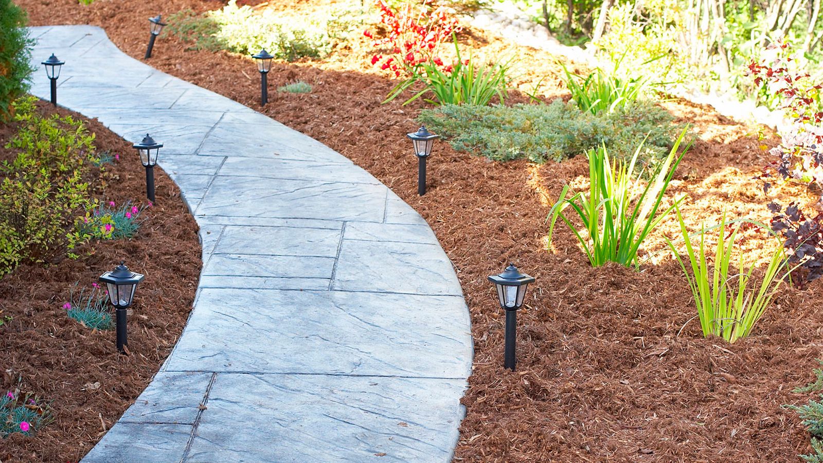 jardin ventajas acolchado plantas