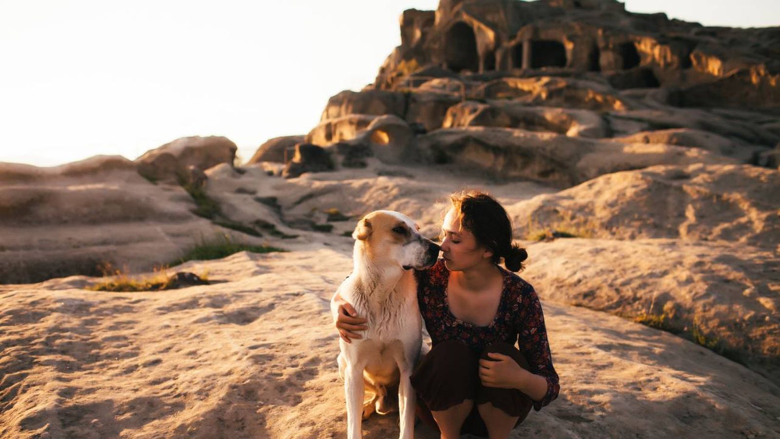 En España cada vez hay más alojamientos petfriendly para ir de vacaciones con nuestras mascotas