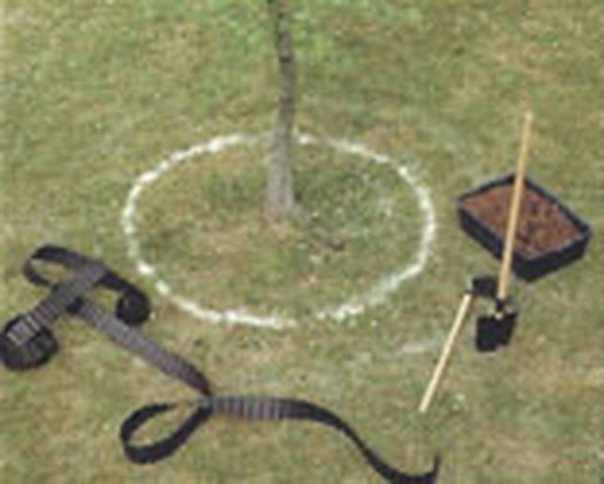 realizar acolchado p1