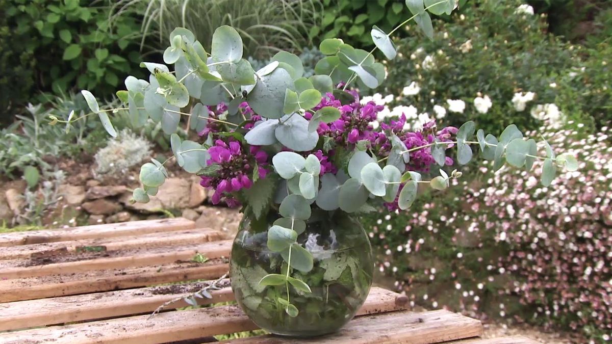 deco 740 jardineria lamium composicion