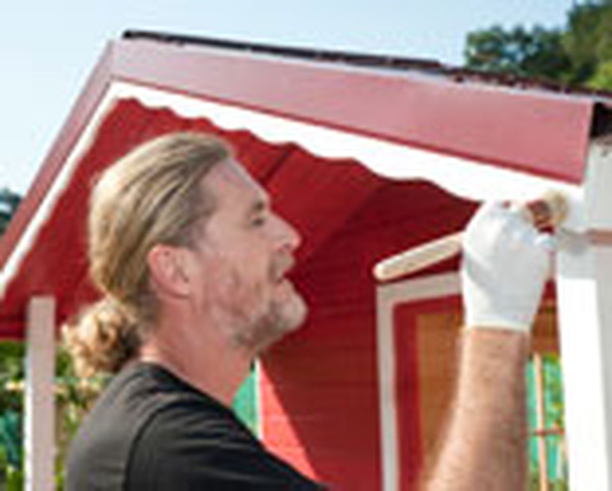 brico 655 pintar caseta madera paso 18